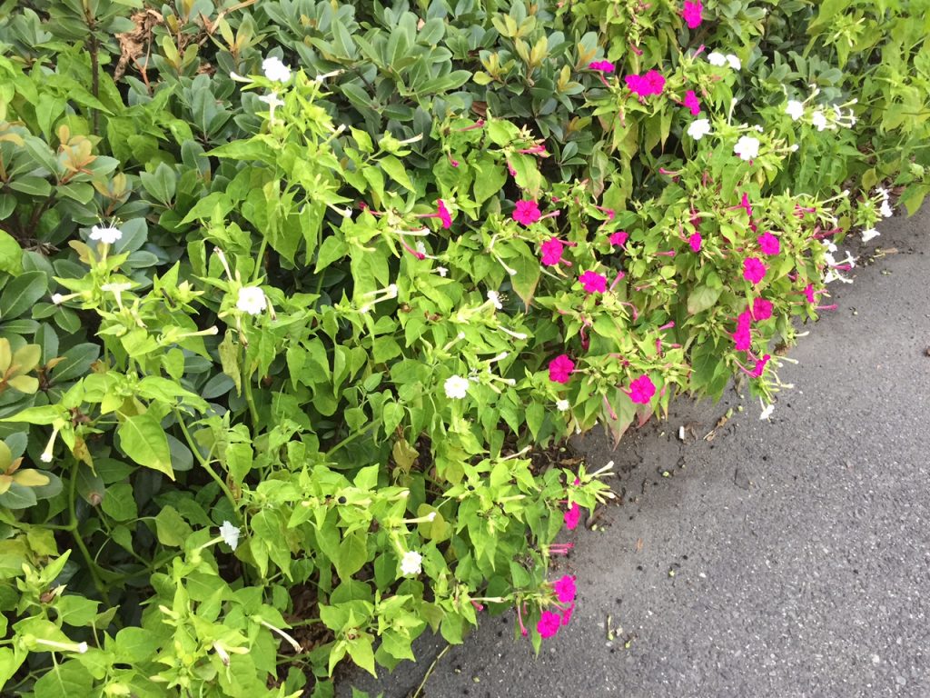 image1_5.JPG